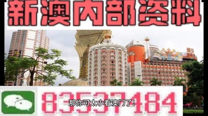澳门精准免费资料大全127，探索与解读，澳门精准免费资料大全揭秘，解读127项内容