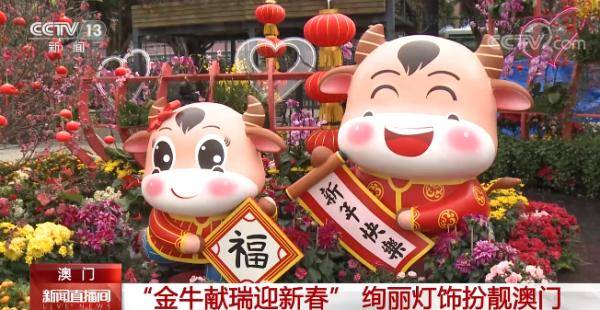 澳门金牛网金牛版论坛，探索与洞察，澳门金牛网金牛版论坛，探索与洞察的聚集地