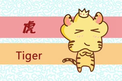 山中王中王，打一生肖——探寻生肖之王的深邃奥秘，山中王中王，生肖之王，探寻深邃奥秘