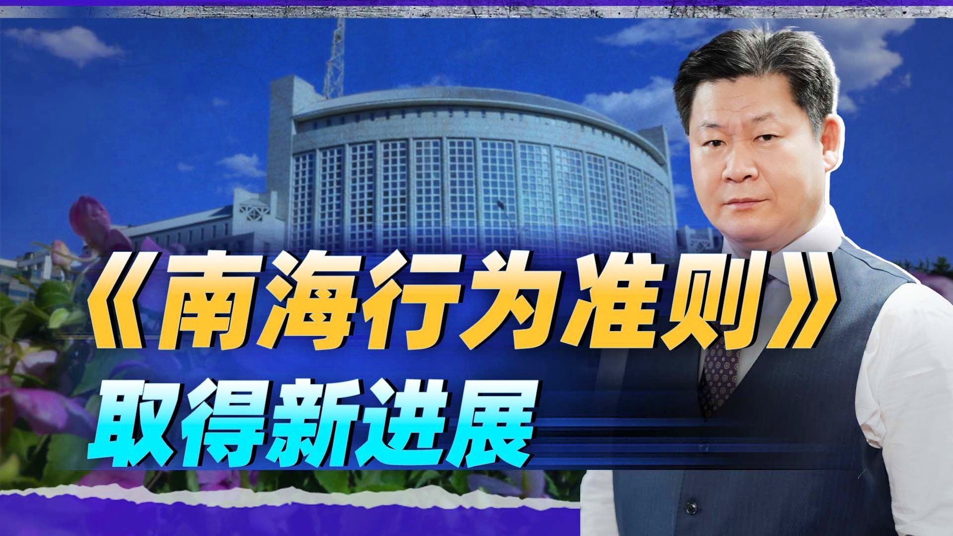 中国提出的南海行为准则，塑造区域和平稳定的基石，南海行为准则，塑造区域和平稳定的基石