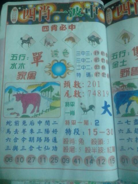 王中王猜一生肖——探寻生肖之奥秘，王中王猜一生肖，揭秘生肖奥秘