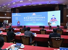 海峡两岸关系最新新闻深度解析，海峡两岸关系最新动态深度解析