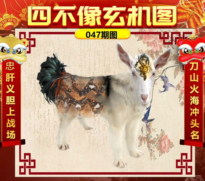 四不像图王中王必中一肖