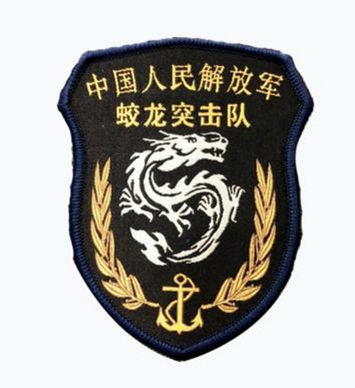 揭秘蛟龙突击队臂章矢量图，荣誉与力量的象征，蛟龙突击队臂章矢量图，荣誉与力量的象征揭秘