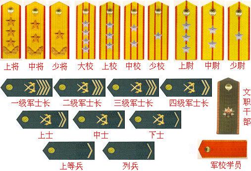 军官的军衔标志，象征荣耀与职责的徽章，军官军衔标志，荣耀与职责的象征徽章