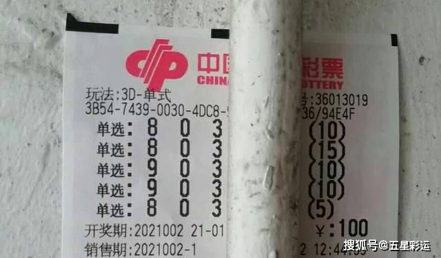 王中王平特一肖传奇故事