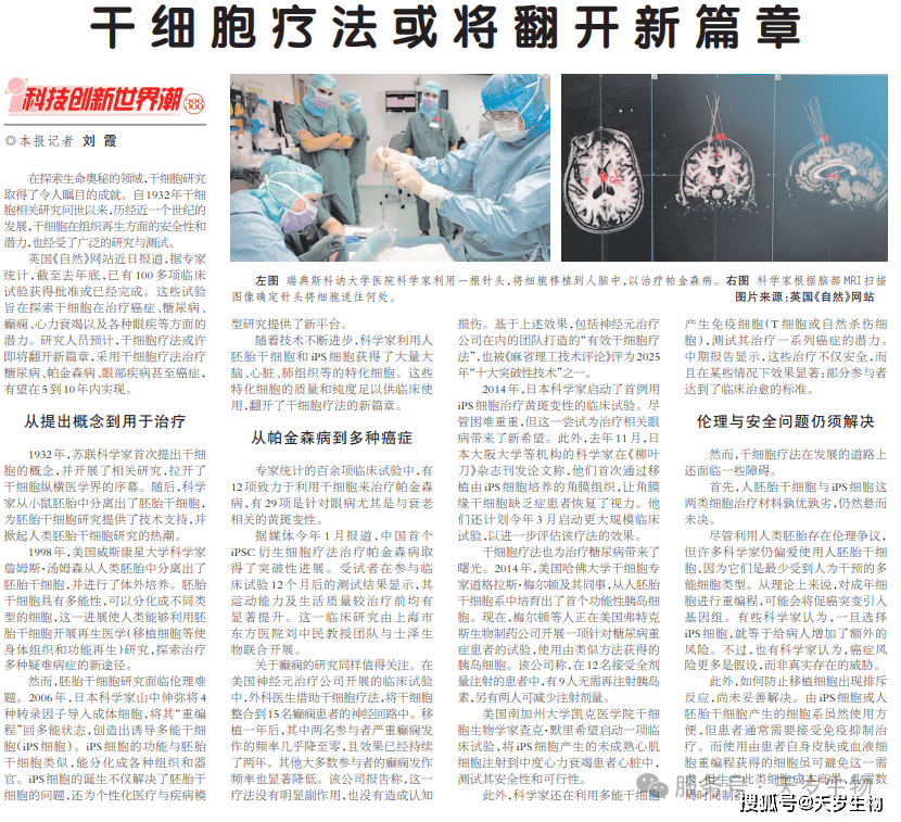 世界新闻报干细胞封面，揭示干细胞研究的最新进展和未来展望，世界新闻报干细胞封面，干细胞研究的最新进展与未来展望