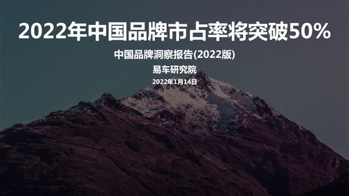 全球局势观察，2022年正在打仗的国家数量分析，全球局势观察，2022年正在打仗的国家数量分析报告