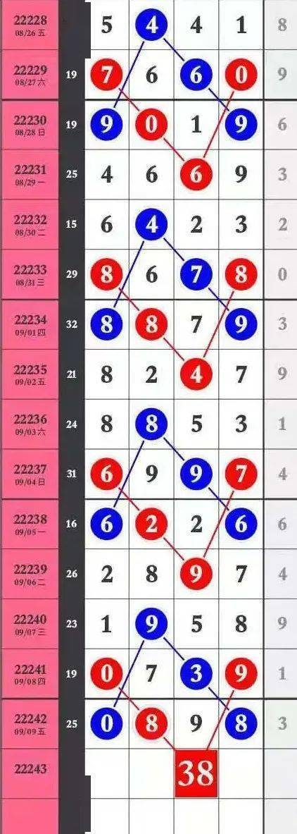 王中王特马中心一肖囹，探索与解读，王中王特马中心一肖囹，深度探索与解读