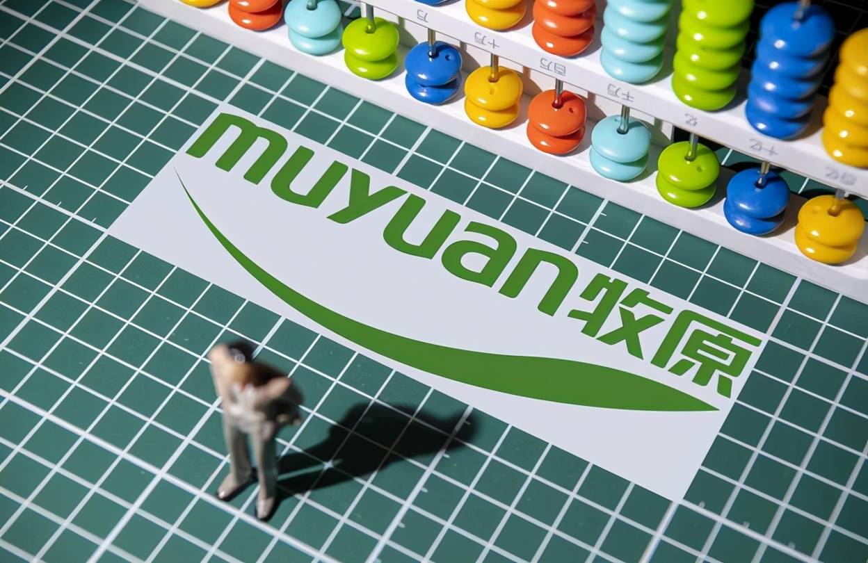 王中王319期指一生肖——探寻背后的故事与意义，王中王319期生肖背后的故事与意义探寻