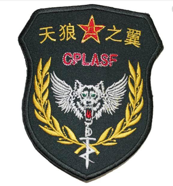 中国有哪几个特种部队，中国特种部队概览，揭秘神秘力量之所在