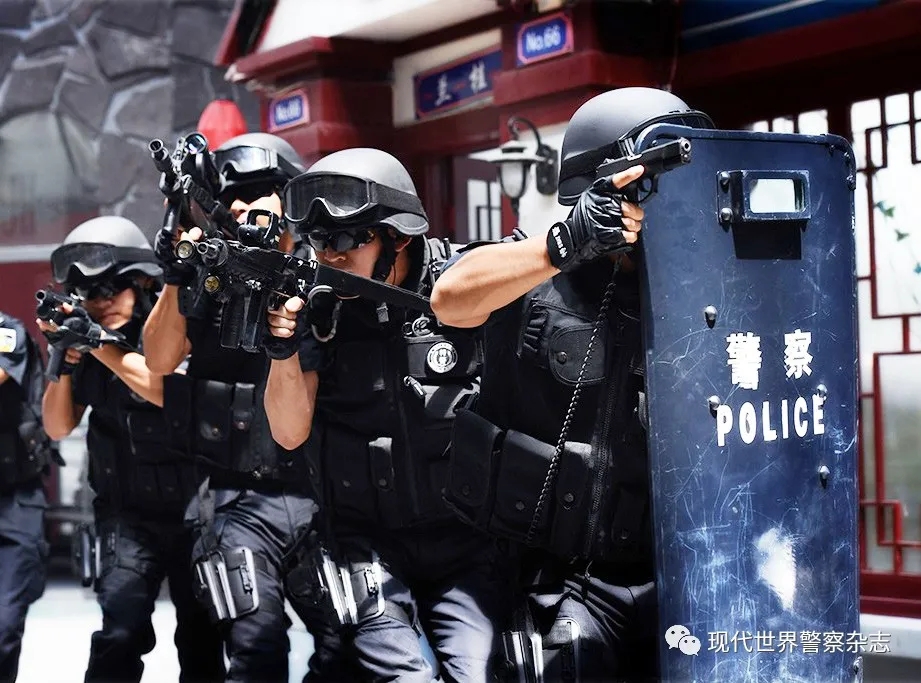 国家级反恐突击队，守护和平的精英力量，国家级反恐突击队，守护和平的精英力量之担当