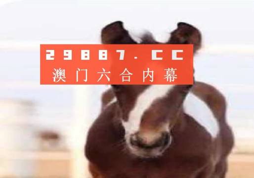 澳门一肖一码一必中一肖舟山