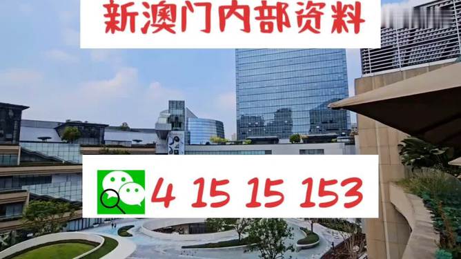 新澳门4949开奖结果最快——揭秘彩票背后的秘密，揭秘新澳门彩票开奖背后的秘密与最快结果获取方式
