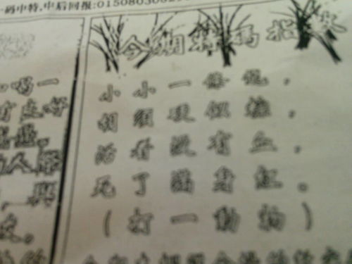 刘伯温与生肖之谜，探寻历史传奇背后的神秘联系，刘伯温与生肖之谜，历史传奇中的神秘联系探索