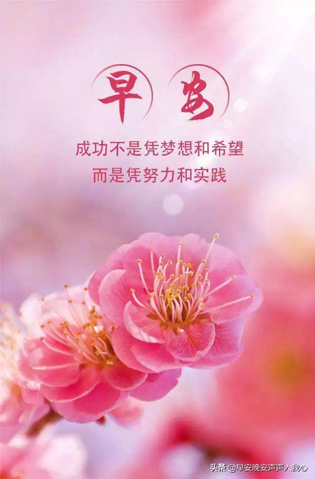 今日国际新闻概览（7月13日），今日国际新闻概览概览（7月13日时事）