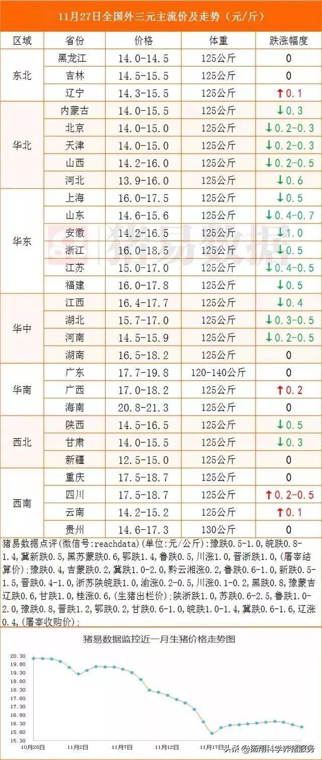 今天生猪价格的市场动态与影响因素分析，今日生猪价格市场动态及影响因素深度解析