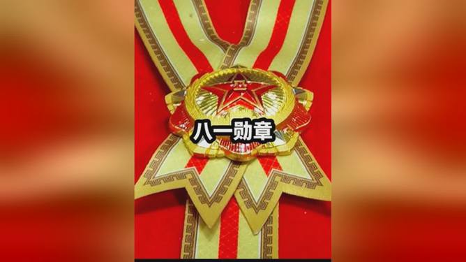 八一勋章的奖励项目，荣誉与贡献的象征，八一勋章，荣誉与贡献的象征，彰显卓越贡献的奖励项目