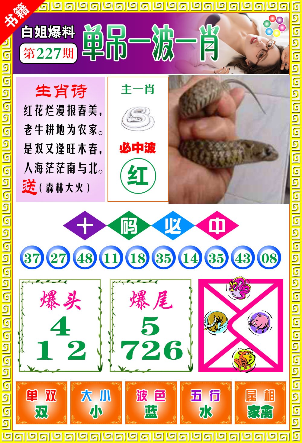 王中王免费开奖一肖结果