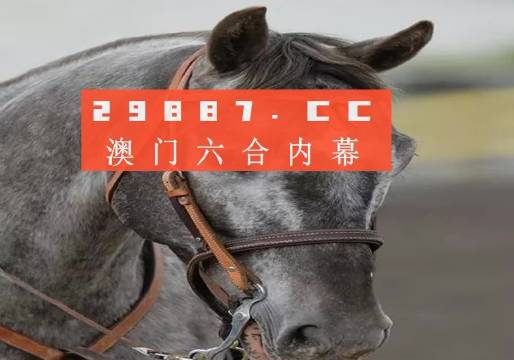 澳门一码一特一中准选今晚，探索澳门的魅力与未来展望，澳门魅力探索与未来展望，一码一特一中准选今晚揭晓