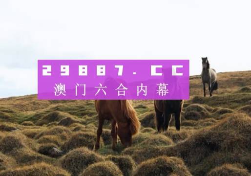 澳门最快开奖记录今晚——探寻幸运之门背后的秘密，澳门最快开奖记录揭秘，幸运之门背后的秘密之夜
