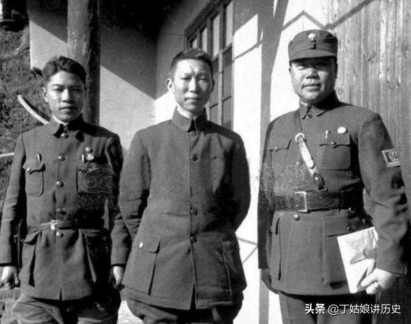 海南岛战役真实结局，历史背后的故事与反思，海南岛战役的真实结局，历史背后的故事与深刻反思