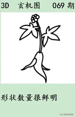二四六玄机图 资料大全