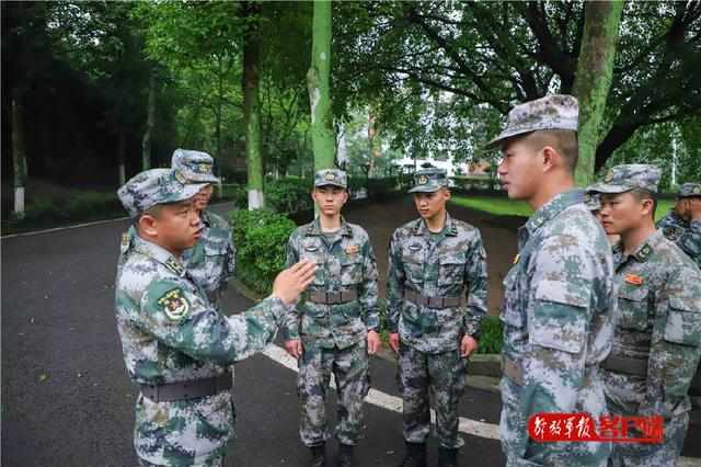 集团军作训处长级别解析，集团军作训处处长级别详解