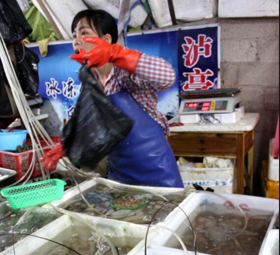 武汉海鲜市场女老板，坚韧与担当的写照，武汉海鲜市场女老板，坚韧与担当的典范