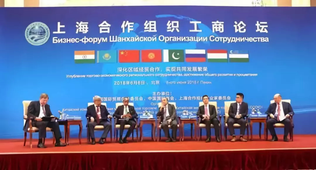 上合峰会青岛举办年份及其深远影响，上合峰会青岛举办年份与深远影响力探讨