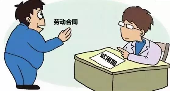 新澳一肖一马，探索期期中的奥秘与魅力，探索新澳一肖一马，期期中的奥秘与魅力揭秘