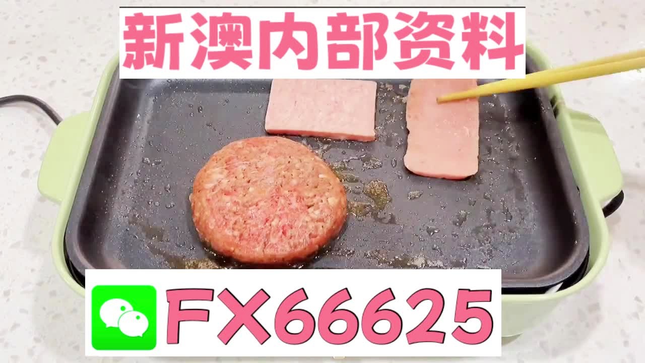 新澳门内部十码中特的探索与解析，澳门内部十码中特探索与解析揭秘