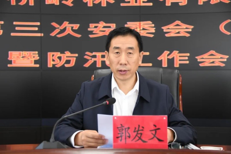 齐发保的职位与成就，探索一个杰出领导者的职业轨迹，齐发保的职业轨迹与成就，杰出领导者的探索之旅
