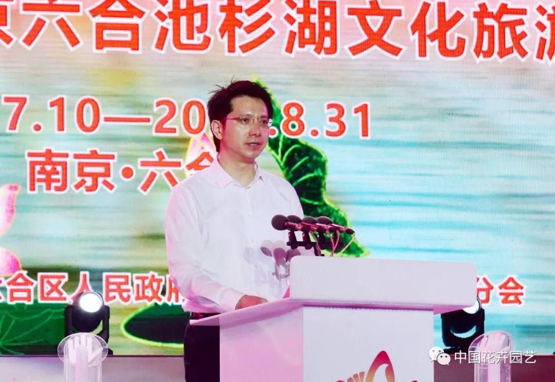 澳门六会65期开奖结果及其背后的故事，澳门六会65期开奖结果揭秘与背后的故事探索