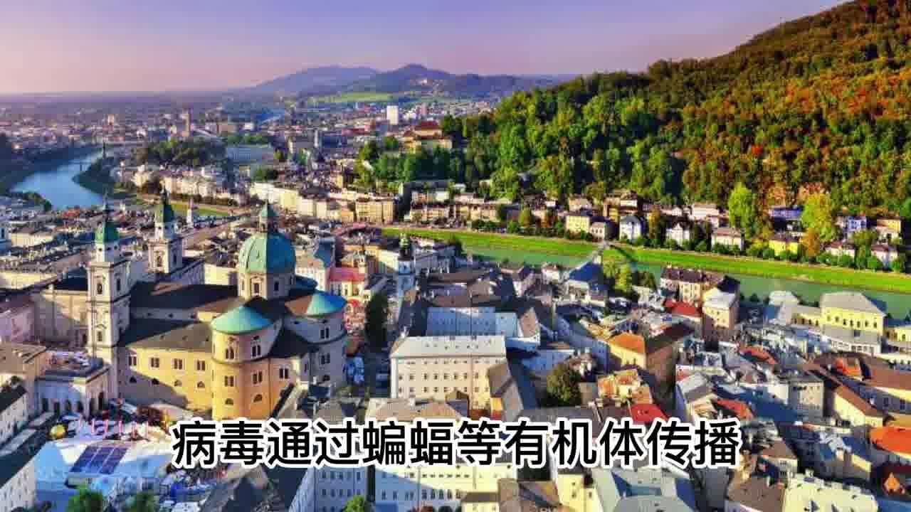俄罗斯与乌克兰局势的最新进展，12月深度分析，俄罗斯与乌克兰局势深度解析，最新进展与未来趋势预测（深度分析版）