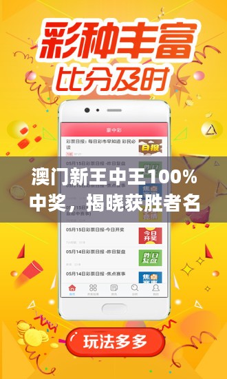 新澳门王中王，揭秘期期中的秘密，揭秘新澳门王中王期期中的奥秘