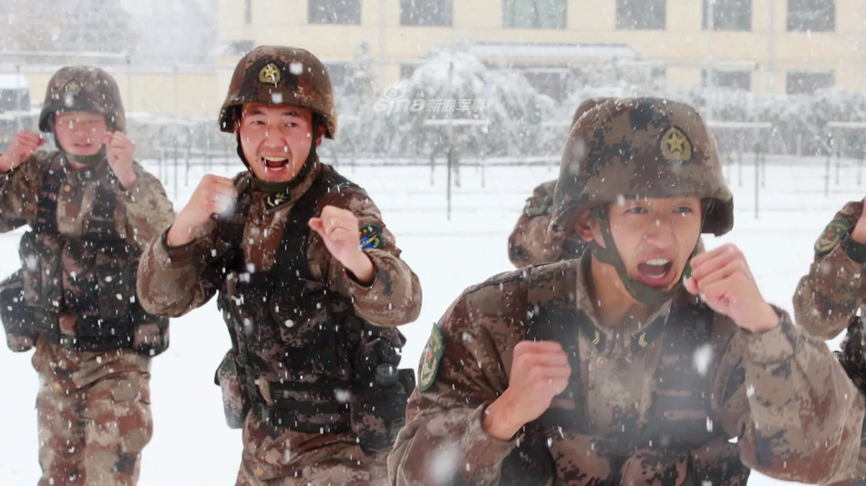 陆军雪地迷彩，神秘的面纱与战斗的勇气，陆军雪地迷彩，神秘面纱下的战斗勇气