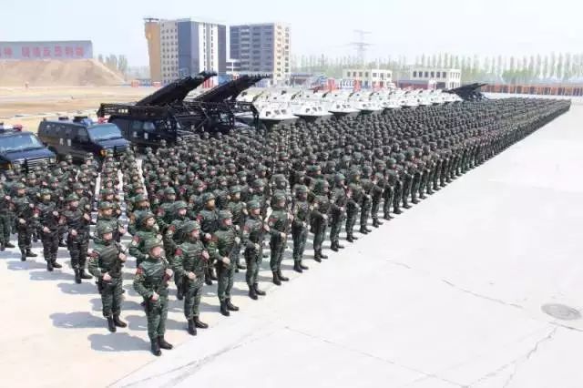 中国人民武装警察部队特种警察学院，是985工程高校吗？，揭秘，中国人民武装警察部队特种警察学院是否为985工程高校？