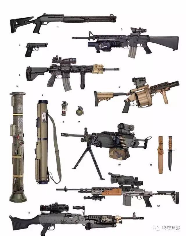 武器装备类型，多样性与战略价值，武器装备类型的多样性及其战略价值探究