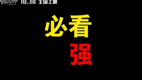 探索数字背后的秘密，关于王中王一肖与神秘的13661con，揭秘王中王一肖与神秘数字13661con背后的秘密
