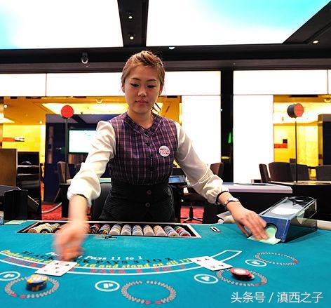 一肖三码赌神王中王，揭秘与警示，揭秘与警示，一肖三码赌神王中王背后的真相与风险
