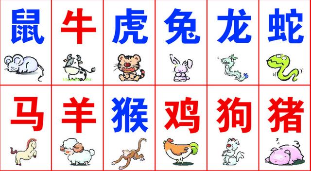 揭秘生肖奥秘，一场关于数字与生肖的精准之旅，揭秘生肖奥秘，数字与生肖的精准探索之旅