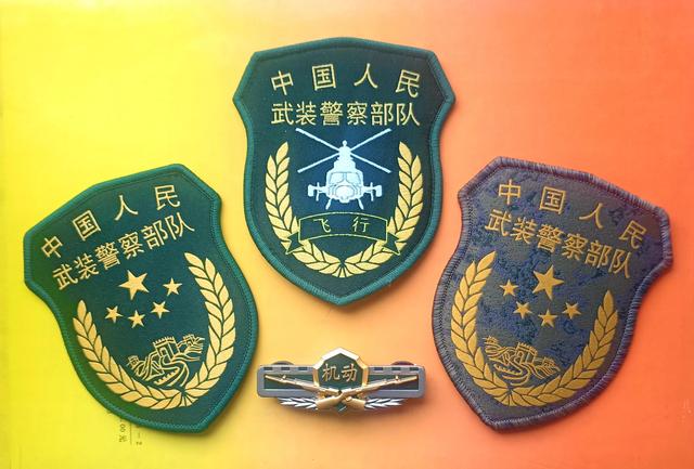 武警第114师，英勇忠诚的卫士，武警第114师，英勇忠诚的卫士