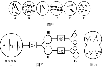 AN分别代表什么，解析与探讨，AN代表何意，深入解析与探讨