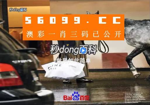 新澳一码三中三资料深度解析，新澳一码三中三资料深度剖析