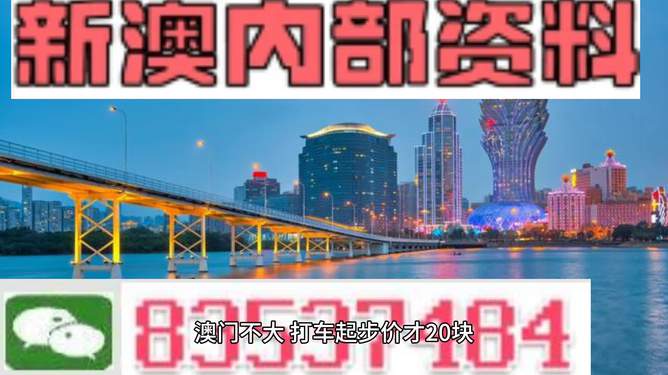 澳门未来展望，聚焦2025新澳门资料大全（第123期），澳门未来展望，聚焦新澳门资料大全（第123期展望至2025年）