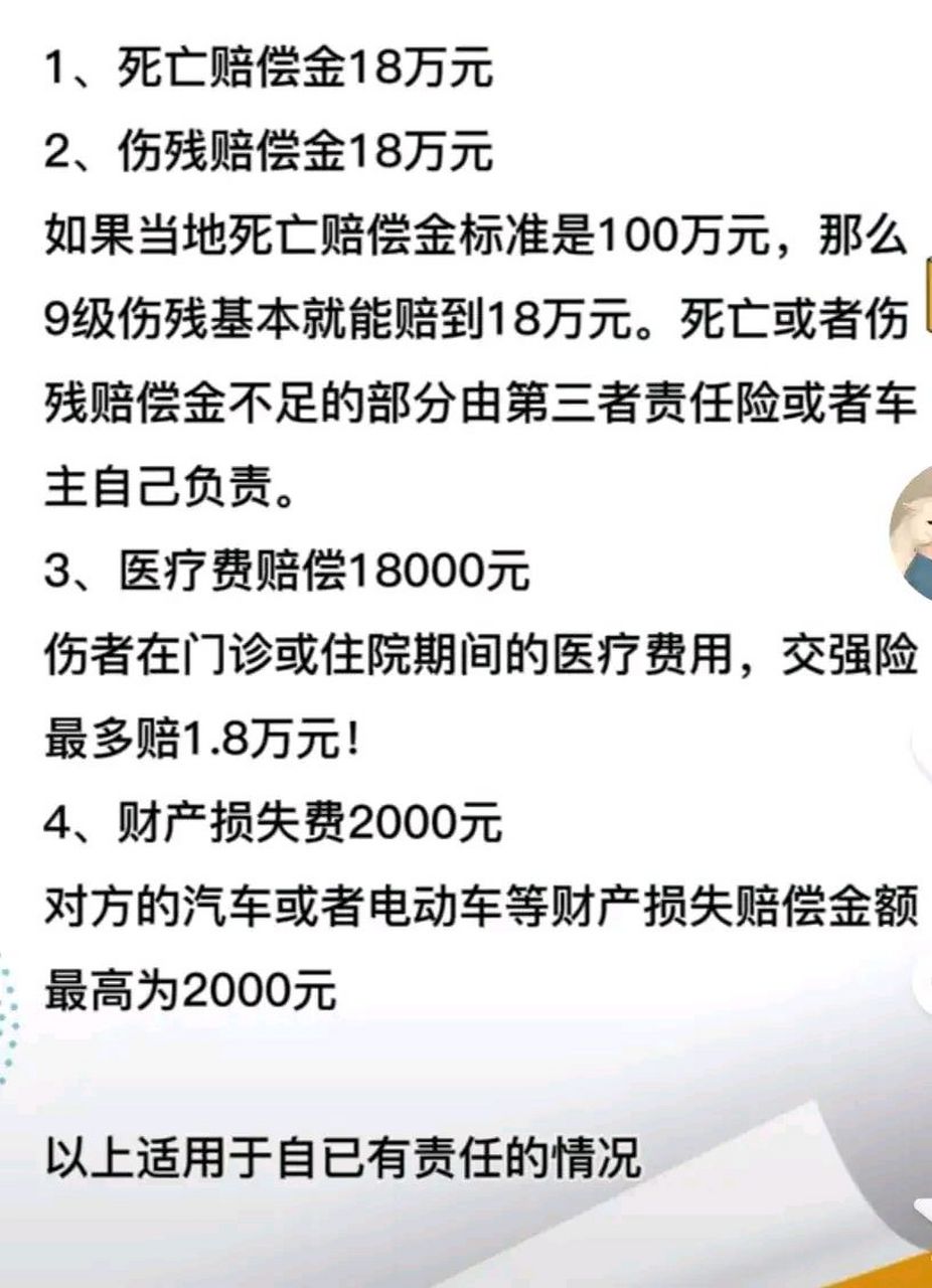 一肖赔多少
