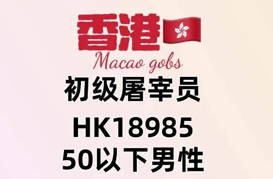 WW777766香港开奖结果正版详探，WW777766香港开奖结果正版深度解析