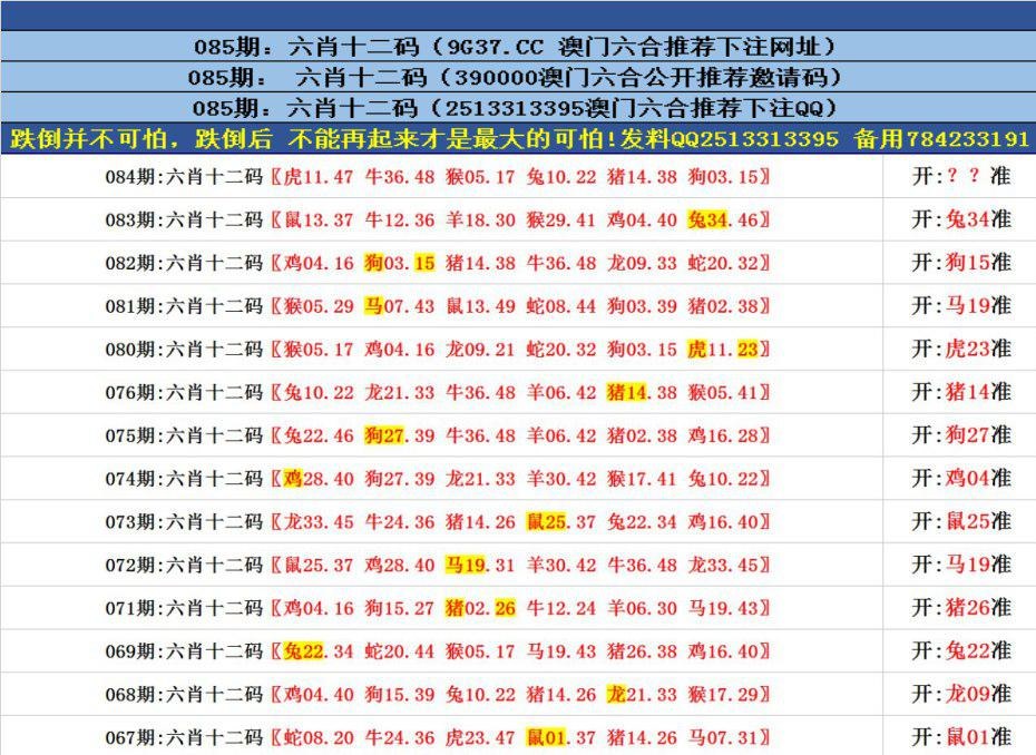 澳门六合资料免费大全——探索彩票文化的魅力，澳门六合资料免费大全，彩票文化的魅力探索