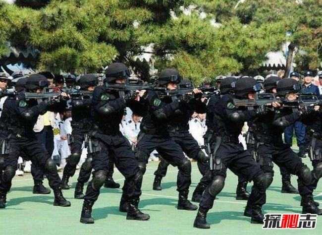 中国特种部队排名，实力与荣耀的象征，中国特种部队排名，实力与荣耀的象征解析